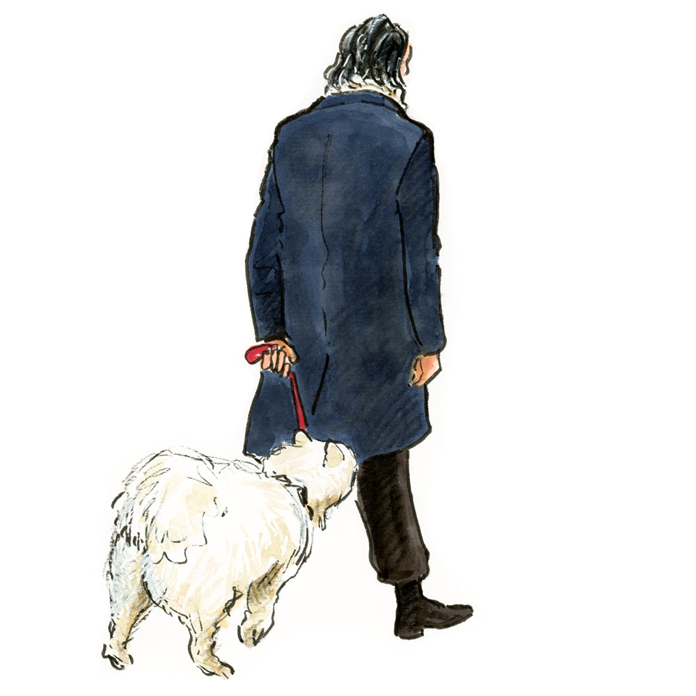 Chien parisien / Samoyède