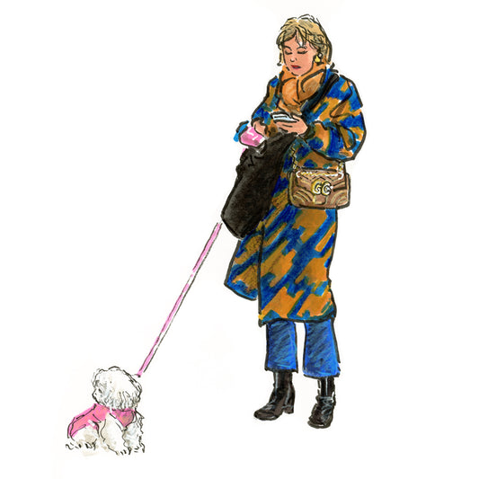 Chien parisien / Caniche