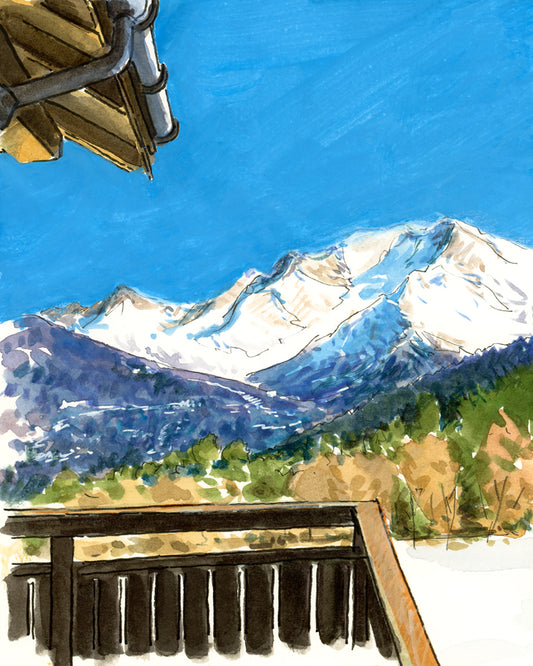 Mont Blanc vu des Epilobes / Le Bettex